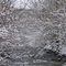 Snowy Day on Tusquittee Creek