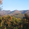 Tusquittee Mountains in Autumn
