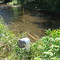 Trout Stocking Portal on Tusquittee Creek at the Quentin Moore Bridge on Tusquittee Road