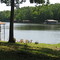 On The Lake.