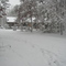 Our House in Snow