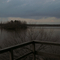 Jordan Lake