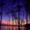 Purple Clouds