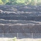 Piles of Waste