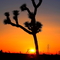 Victorville Ca