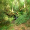 The Dell by the Trail