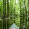 Kayaking on South River