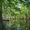Kayakers view