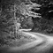 Mountain Road - Lenoir, NC