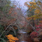 Buffalo Creek @ Buffalo Cove Rd.
