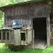Old chicken coop