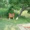 Maggie @ New River State Park Alleghany Canoe Access - July 2007