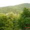 Overlooking New River State Park from the Service Road - July 2007