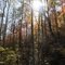 Fall Foliage in Hanging Dog Creek