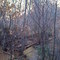 Tesuque Creek at Junction of Bear Wallow Trail 182