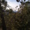 On Santa Fe mountain looking towards Jemez mountains