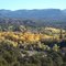 Autumn colors