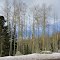 Road to Ski Mt.