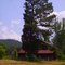 Old barn