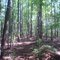 Uwharrie Trail on Morris Mtn