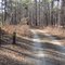 USFS Road 6746