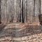 East Morris Mountain campground