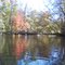 Black River at the Three Sisters Swamp