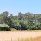 Silo and Barn goes green----st