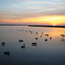 Sunrise over the marsh
