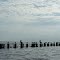 Swan Quarter, NC