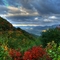 Blue Ridge Parkway North Carolina