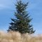 starkly unadorned