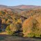 Pigeon River in October from Love Joy Rd