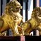 Chinese Guardian Lions (i)