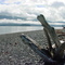 Kachemak Bay, Alaska