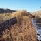 South Shore Trail