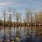 Horseshoe Lake