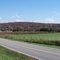 Fall colors off St. Mary's Rd.