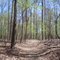 Ridge Trail