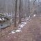 Holden Mill Trail, winter