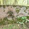 old Pumping Station of Durham, Eno River