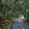 cycleway