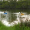 canoeing near wetlands
