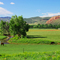Northwest of Fort Collins