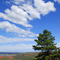 Lory State Park looking towards FTC