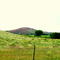 Larimer County, Colorado