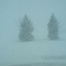 Colorado Blizzard