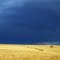 There's a storm brewin'