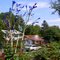 The Bottle Tree