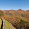 Parkway milepost 378 - fall